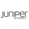 juniper-1